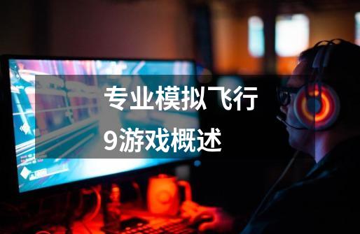 专业模拟飞行9游戏概述-第1张-游戏信息-龙启网