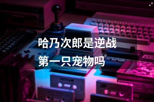 哈乃次郎是逆战第一只宠物吗-第1张-游戏信息-龙启网
