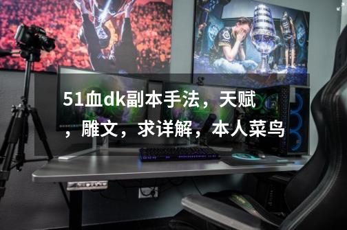 5.1血dk副本手法,天赋,雕文,求详解,本人菜鸟-第1张-游戏信息-龙启网