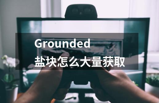 Grounded盐块怎么大量获取-第1张-游戏信息-龙启网