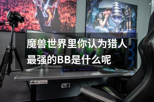 魔兽世界里你认为猎人最强的BB是什么呢-第1张-游戏信息-龙启网