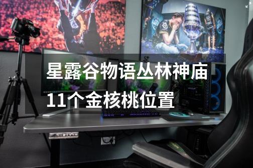 星露谷物语丛林神庙11个金核桃位置-第1张-游戏信息-龙启网