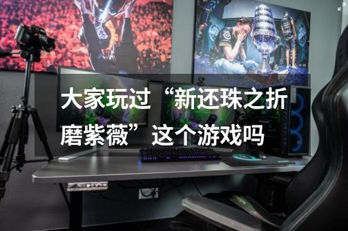 大家玩过“新还珠之折磨紫薇”这个游戏吗-第1张-游戏信息-龙启网