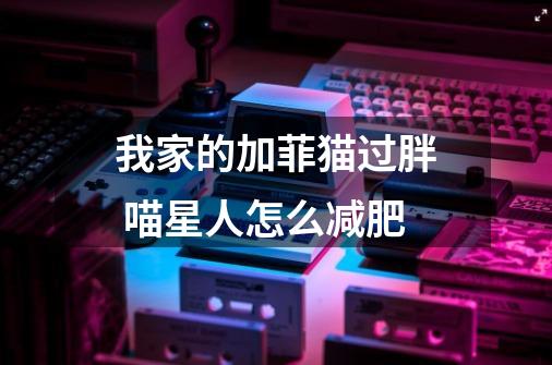 我家的加菲猫过胖 喵星人怎么减肥-第1张-游戏信息-龙启网