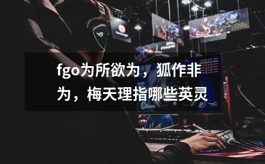 fgo为所欲为,狐作非为,梅天理指哪些英灵-第1张-游戏信息-龙启网