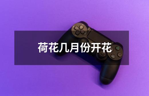 荷花几月份开花-第1张-游戏信息-龙启网