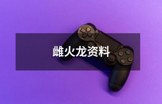 雌火龙资料-第1张-游戏信息-龙启网