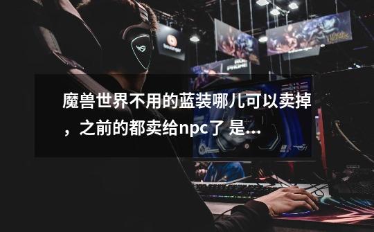 魔兽世界不用的蓝装哪儿可以卖掉,之前的都卖给npc了 是不是很亏啊-第1张-游戏信息-龙启网