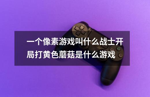 一个像素游戏叫什么战士开局打黄色蘑菇是什么游戏-第1张-游戏信息-龙启网