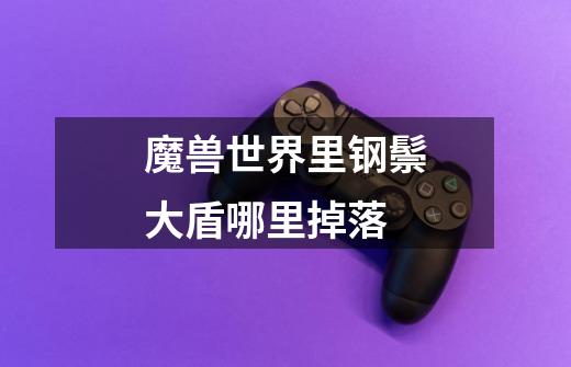 魔兽世界里钢鬃大盾哪里掉落-第1张-游戏信息-龙启网