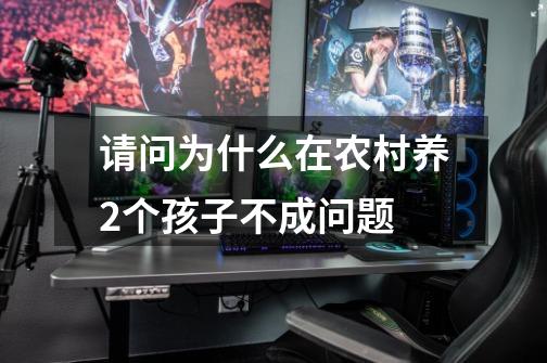 请问为什么在农村养2个孩子不成问题-第1张-游戏信息-龙启网