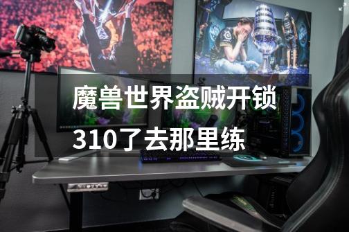 魔兽世界盗贼开锁310了去那里练-第1张-游戏信息-龙启网