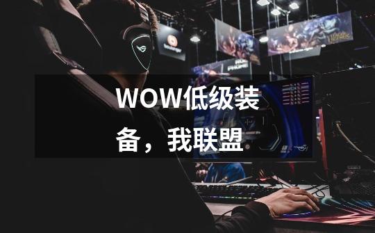 WOW低级装备,我联盟-第1张-游戏信息-龙启网