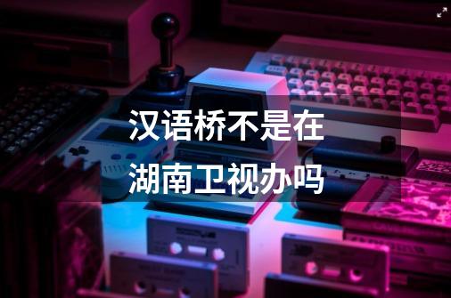 汉语桥不是在湖南卫视办吗-第1张-游戏信息-龙启网