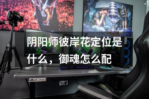 阴阳师彼岸花定位是什么，御魂怎么配-第1张-游戏信息-龙启网