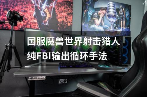 国服魔兽世界射击猎人纯FBI输出循环手法-第1张-游戏信息-龙启网