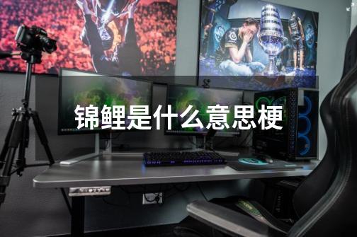 锦鲤是什么意思梗-第1张-游戏信息-龙启网