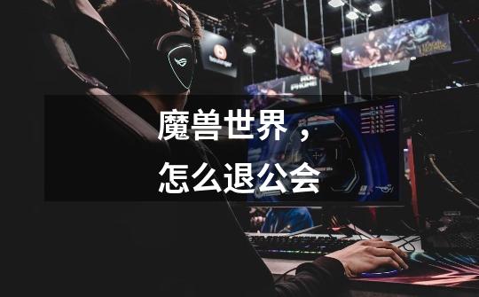 魔兽世界 ，怎么退公会-第1张-游戏信息-龙启网