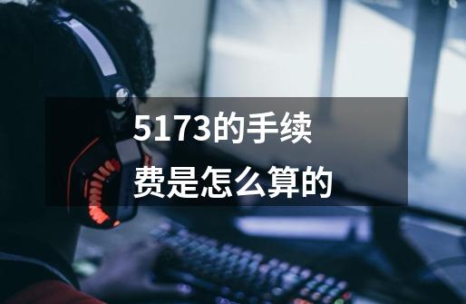5173的手续费是怎么算的-第1张-游戏信息-龙启网
