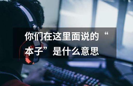你们在这里面说的“本子”是什么意思-第1张-游戏信息-龙启网