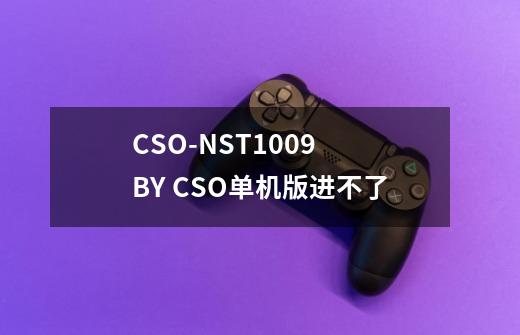 CSO-NST1009 BY CSO单机版进不了-第1张-游戏信息-龙启网