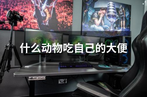 什么动物吃自己的大便-第1张-游戏信息-龙启网