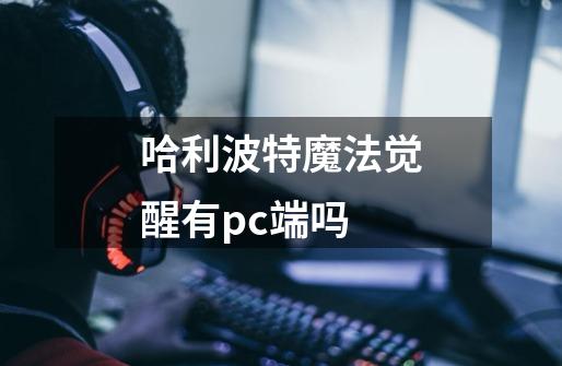 哈利波特魔法觉醒有pc端吗-第1张-游戏信息-龙启网