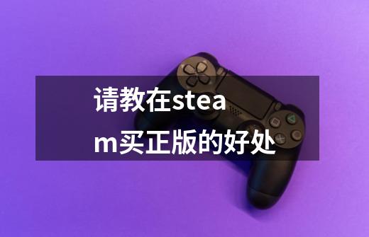 请教在steam买正版的好处-第1张-游戏信息-龙启网