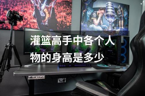 灌篮高手中各个人物的身高是多少-第1张-游戏信息-龙启网
