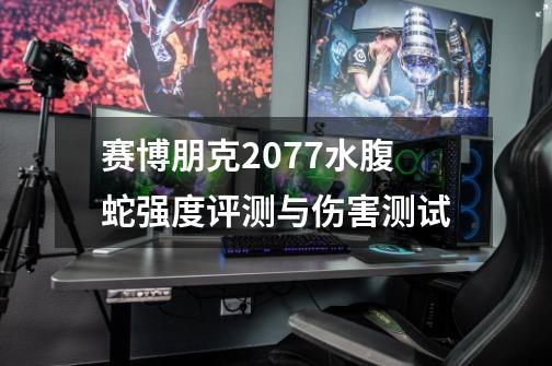 赛博朋克2077水腹蛇强度评测与伤害测试-第1张-游戏信息-龙启网