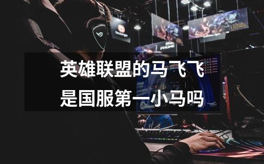英雄联盟的马飞飞是国服第一小马吗-第1张-游戏信息-龙启网