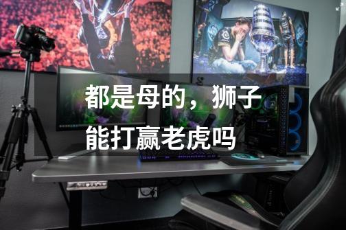 都是母的,狮子能打赢老虎吗-第1张-游戏信息-龙启网
