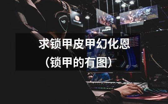 求锁甲皮甲幻化恩(锁甲的有图)-第1张-游戏信息-龙启网