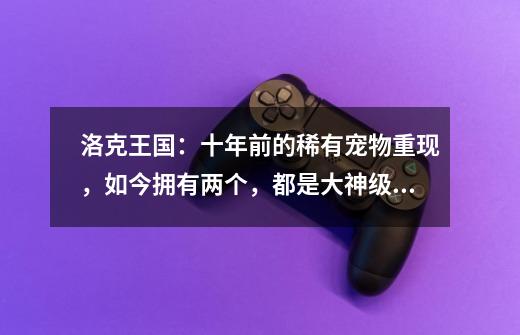 洛克王国:十年前的稀有宠物重现,如今拥有两个,都是大神级玩家-第1张-游戏信息-龙启网