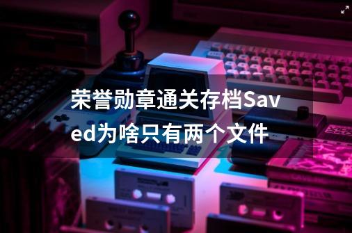 荣誉勋章通关存档Saved为啥只有两个文件-第1张-游戏信息-龙启网