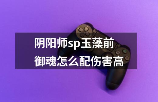 阴阳师sp玉藻前御魂怎么配伤害高-第1张-游戏信息-龙启网