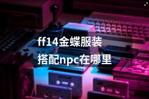 ff14金蝶服装搭配npc在哪里-第1张-游戏信息-龙启网