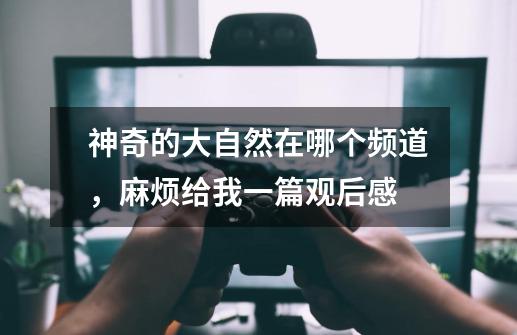 神奇的大自然在哪个频道,麻烦给我一篇观后感-第1张-游戏信息-龙启网