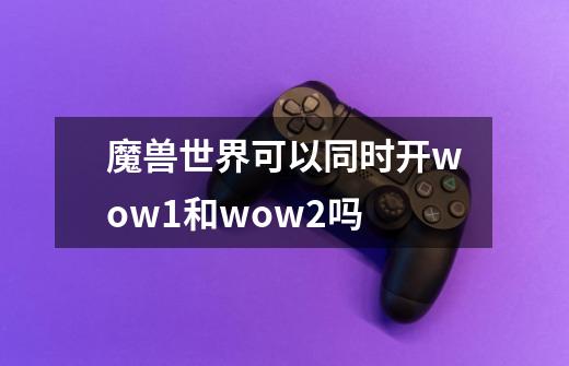 魔兽世界可以同时开wow1和wow2吗-第1张-游戏信息-龙启网