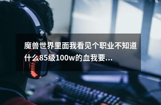 魔兽世界里面我看见个职业不知道什么85级100w的血我要是肯花钱能到100w血嘛 还是我看错了看NPC了-第1张-游戏信息-龙启网