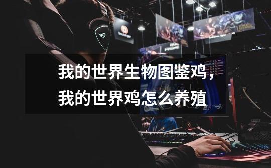 我的世界生物图鉴鸡,我的世界鸡怎么养殖-第1张-游戏信息-龙启网