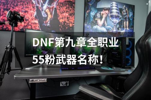DNF第九章全职业55粉武器名称!-第1张-游戏信息-龙启网