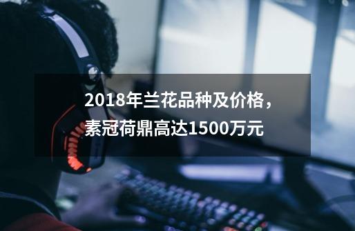 2018年兰花品种及价格,素冠荷鼎高达1500万元-第1张-游戏信息-龙启网