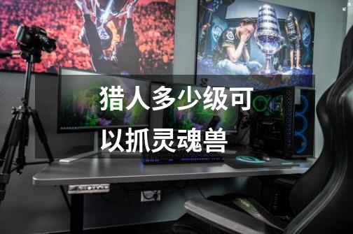 猎人多少级可以抓灵魂兽-第1张-游戏信息-龙启网