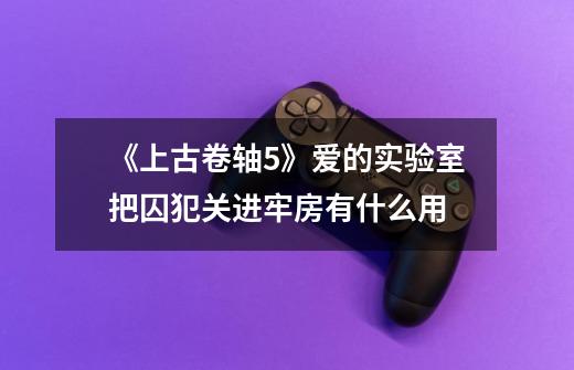 《上古卷轴5》爱的实验室把囚犯关进牢房有什么用-第1张-游戏信息-龙启网