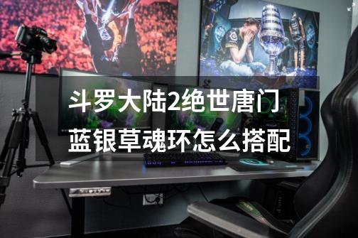 斗罗大陆2绝世唐门蓝银草魂环怎么搭配-第1张-游戏信息-龙启网