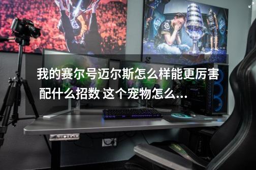 我的赛尔号迈尔斯怎么样能更厉害 配什么招数 这个宠物怎么样-第1张-游戏信息-龙启网