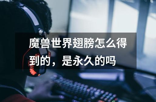魔兽世界翅膀怎么得到的,是永久的吗-第1张-游戏信息-龙启网