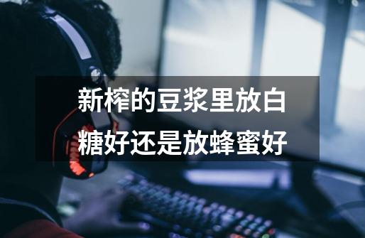 新榨的豆浆里.放白糖好.还是放蜂蜜好-第1张-游戏信息-龙启网