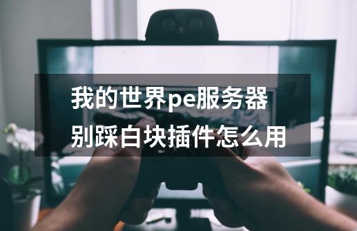 我的世界pe服务器别踩白块插件怎么用-第1张-游戏信息-龙启网
